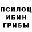 Псилоцибиновые грибы GOLDEN TEACHER Orunbubu Ashyrbekova