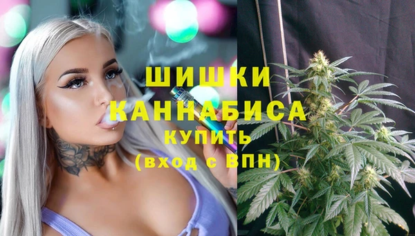 СК Горняк