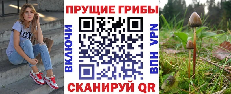 Галлюциногенные грибы Cubensis  Южно-Сахалинск 